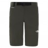 The North FaceSHORTS UOMO LIGHTNING NEW TAUPE GREEN