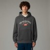 THE NORTH FACE Felpa con cappuccio Varsity con grafica da uomo TNF Medium Grey Heather