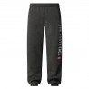 THE NORTH FACE Joggers Varsity con grafica da uomo MEDIUM GREY HEATHER