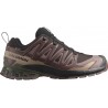 SALOMON XA PRO 3D V9 GORE-TEX BLACK COFFEE/RUN RAISIN/OLIVE NIGHT